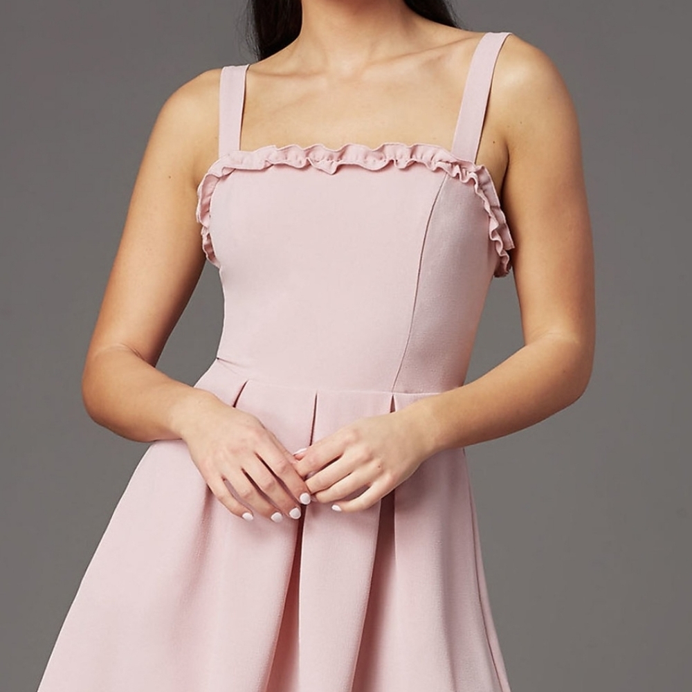 NWT Ruffle Trim Sleeveless Mini Dress